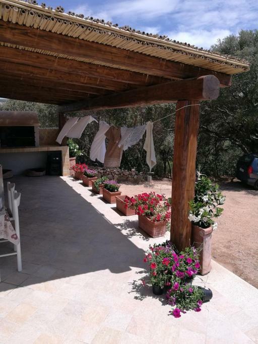 Appartamento L'Albero Magico Nella Campagna Gallurese ซานตา เตเรซา กัลลูรา ภายนอก รูปภาพ
