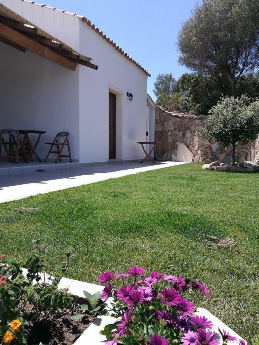 Appartamento L'Albero Magico Nella Campagna Gallurese ซานตา เตเรซา กัลลูรา ภายนอก รูปภาพ